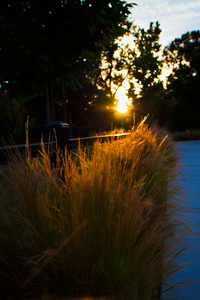 Uber Exif Photo