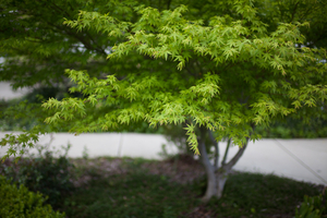 Uber Exif Photo