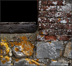 Uber Exif Photo