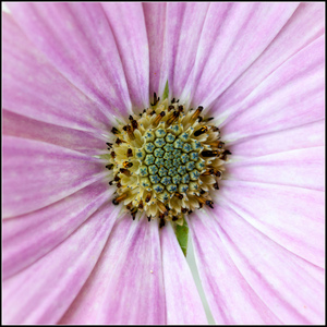 Uber Exif Photo