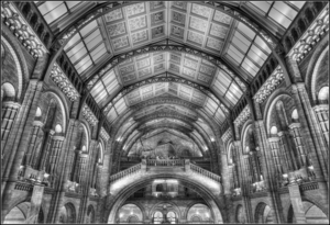 Uber Exif Photo