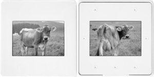 Uber Exif Photo