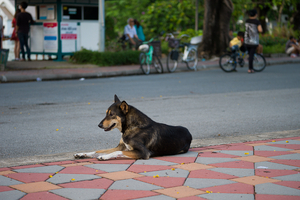 Uber Exif Photo