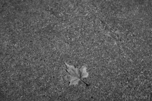 Uber Exif Photo