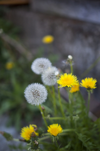 Uber Exif Photo