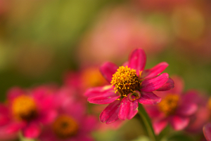 Uber Exif Photo