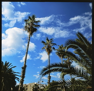 Uber Exif Photo
