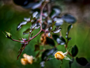 Uber Exif Photo