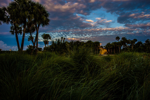 Uber Exif Photo