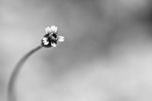 Uber Exif Photo