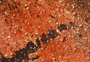 Uber Exif Photo