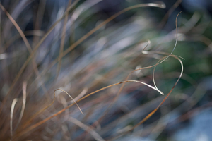 Uber Exif Photo