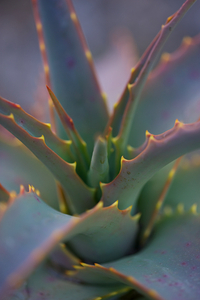 Uber Exif Photo