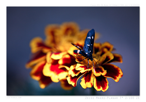 Uber Exif Photo