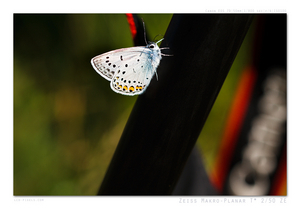 Uber Exif Photo