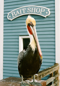 Uber Exif Photo