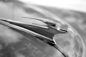 Uber Exif Photo