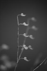 Uber Exif Photo