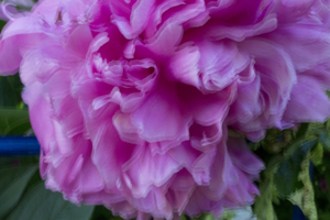 Uber Exif Photo