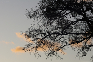 Uber Exif Photo