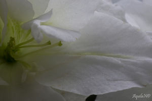Uber Exif Photo