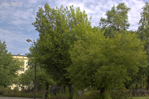 Uber Exif Photo