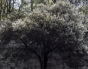 Uber Exif Photo