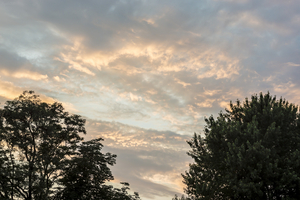 Uber Exif Photo