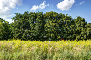 Uber Exif Photo