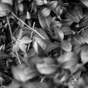 Uber Exif Photo