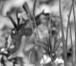 Uber Exif Photo