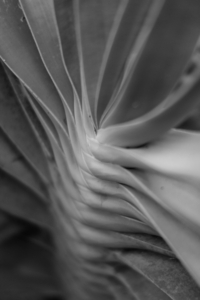 Uber Exif Photo