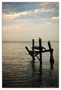 Uber Exif Photo