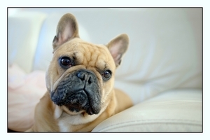 Uber Exif Photo