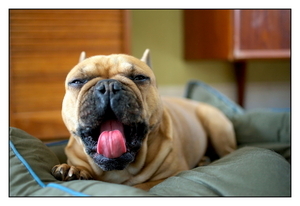 Uber Exif Photo