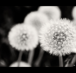 Uber Exif Photo