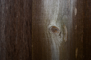 Uber Exif Photo