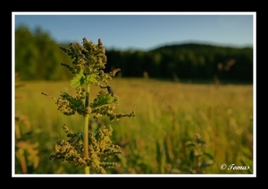 Uber Exif Photo