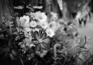 Uber Exif Photo