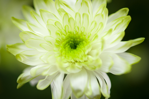 Uber Exif Photo