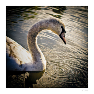Uber Exif Photo