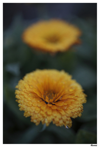 Uber Exif Photo