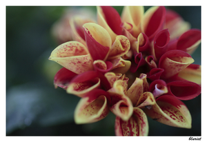 Uber Exif Photo