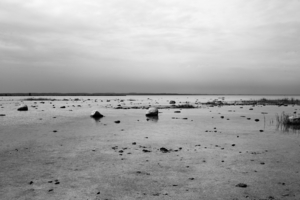 Uber Exif Photo