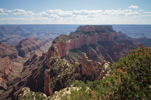 Uber Exif Photo