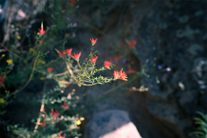 Uber Exif Photo