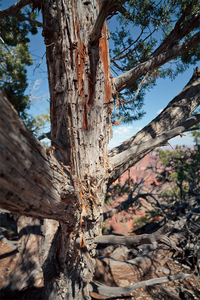 Uber Exif Photo