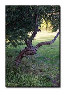 Uber Exif Photo