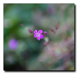 Uber Exif Photo
