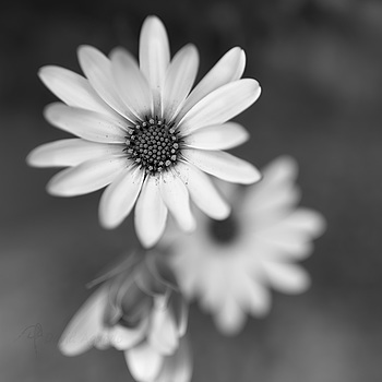 Uber Exif Photo